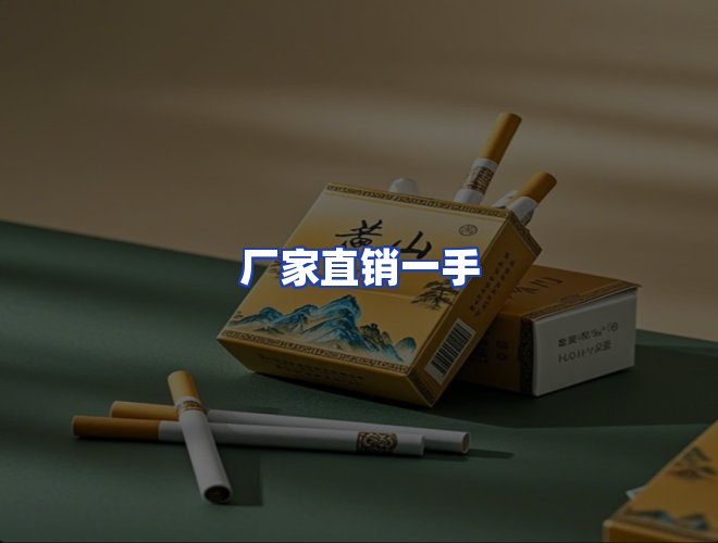 专业团队